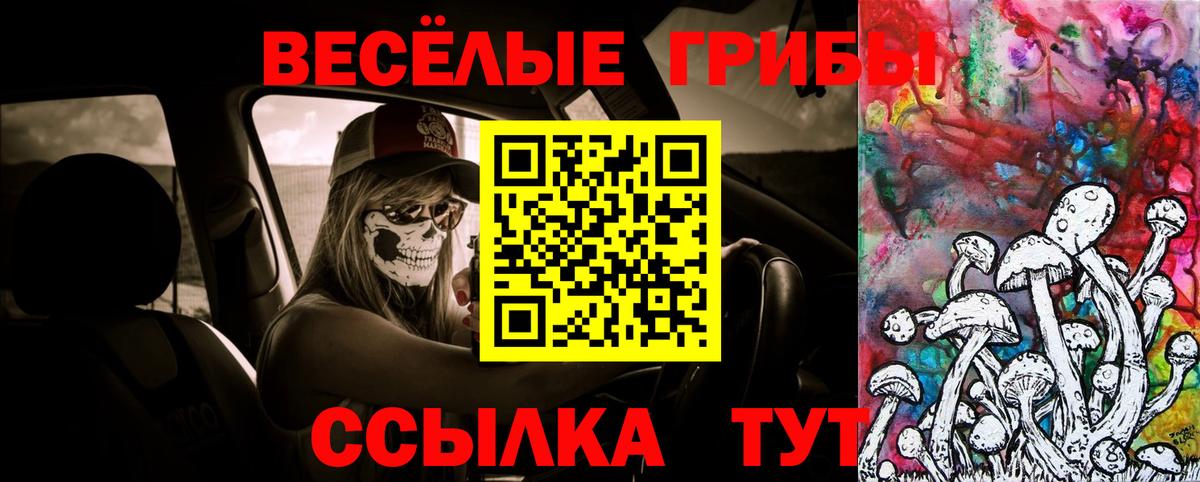 Псилоцибиновые грибы Psilocybe Тулун